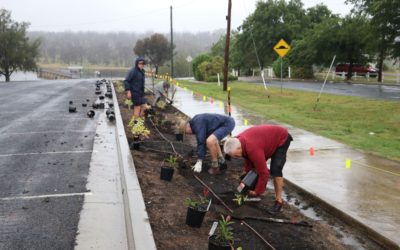 Cycle Track Planting Project