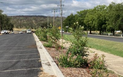 Cycle Track Working Bee