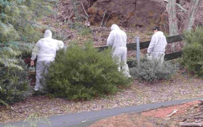 CLONTARF boys paint May St fence