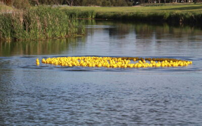 Inverell East Rotary Duck Race 2024